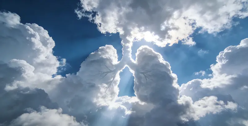 南京肺癌13基因突变检测（组织）图片1