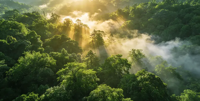 南京肺癌119基因检测图片1